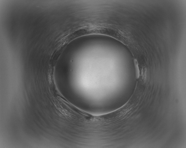 X0000056361348200508291334