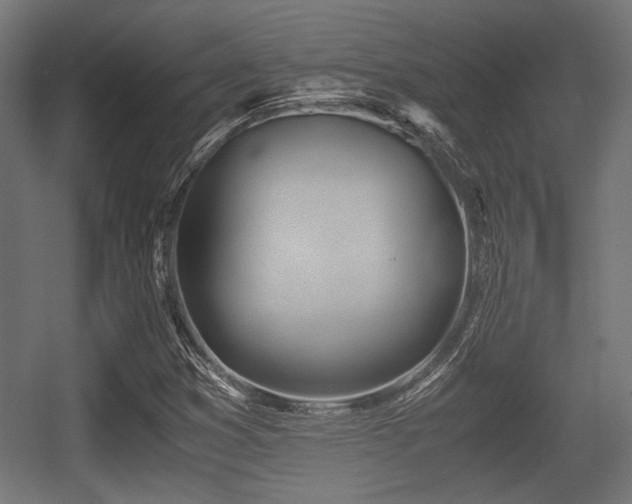 X0000056361353200508291333