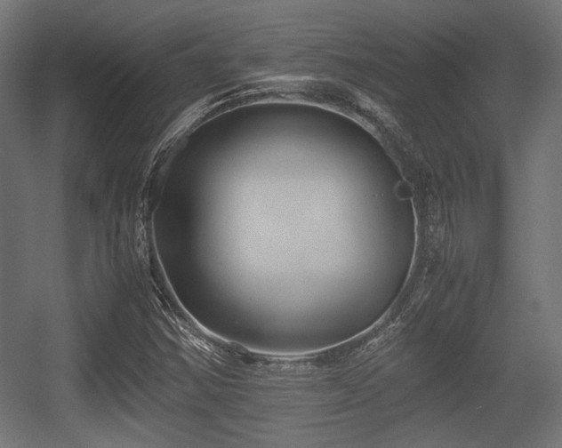 X0000056361354200508291333