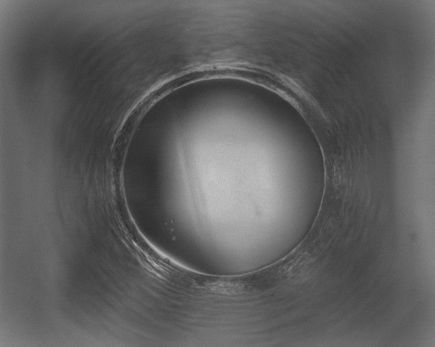 X0000056361356200508291333