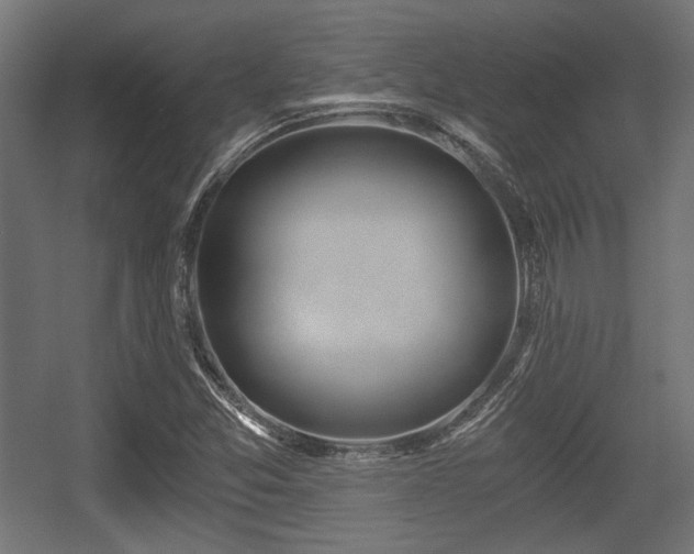 X0000056361357200508291333
