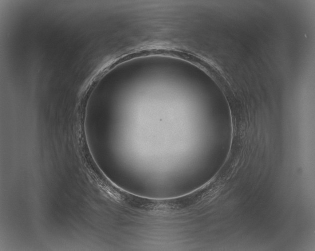X0000056361359200508291333