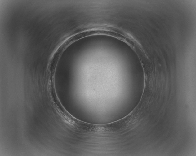 X0000056361360200508291333