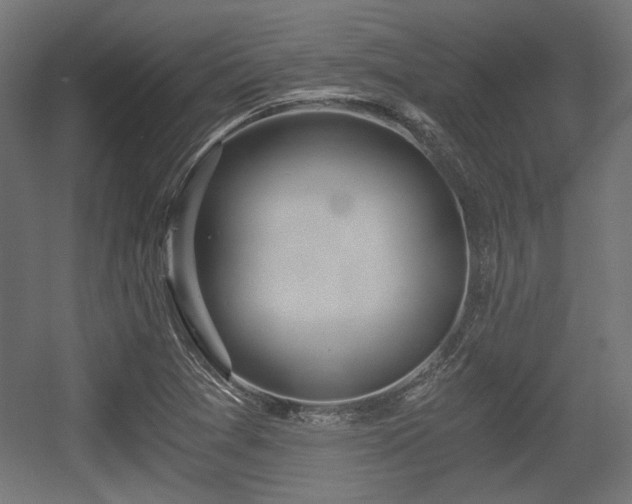 X0000056361361200508291333