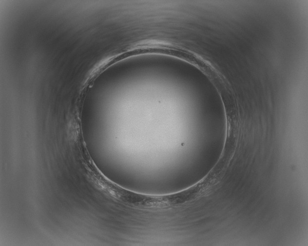 X0000056361363200508291333