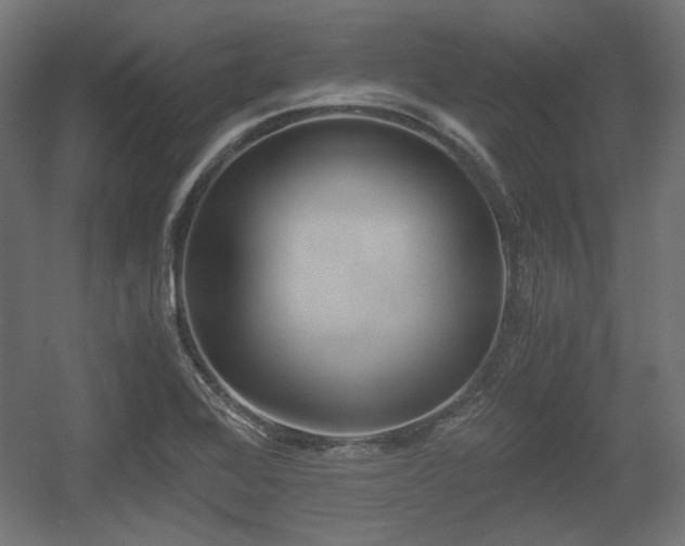 X0000056361368200508291333