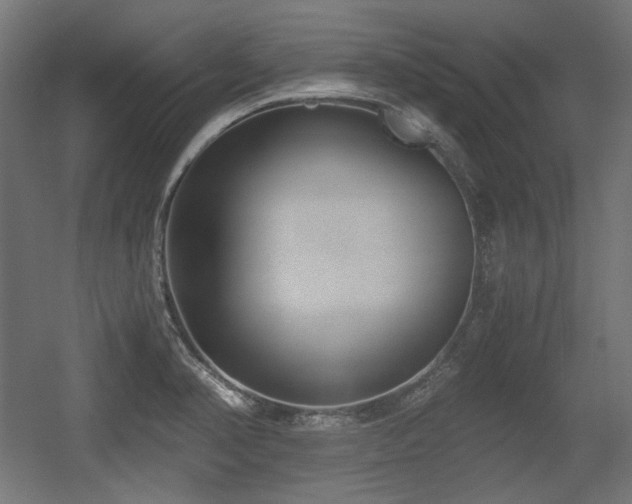 X0000056361374200508291333