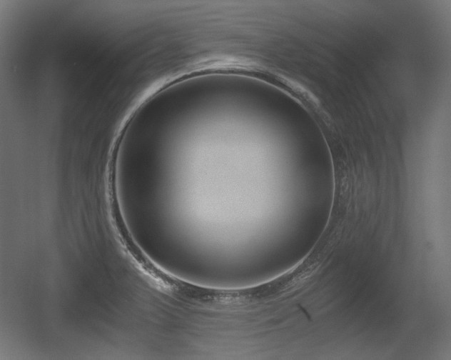 X0000056361375200508291333