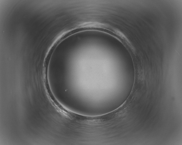 X0000056361376200508291333