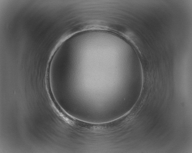 X0000056361379200508291333
