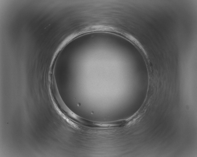 X0000056361381200508291333