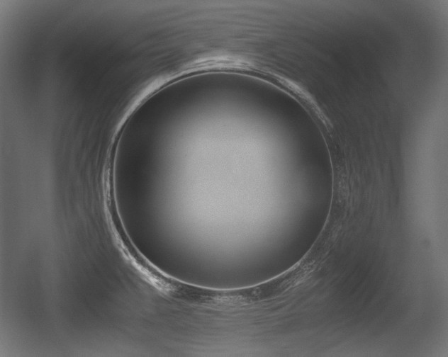 X0000056361383200508291333