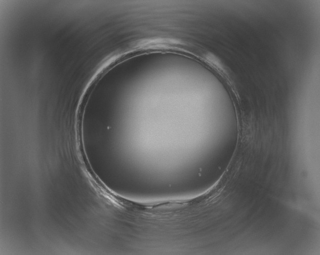 X0000056361384200508291333