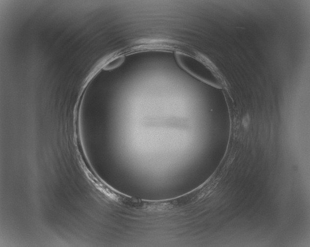 X0000056361386200508291333