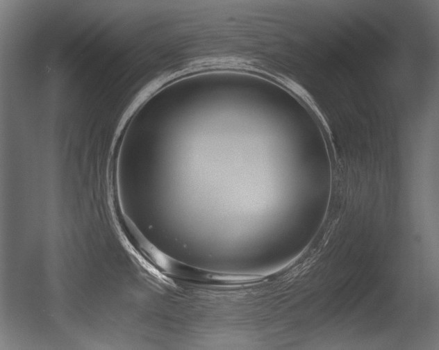 X0000056361389200508291333