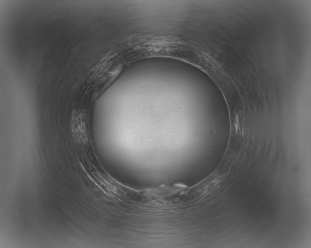 X0000056361396200508291332