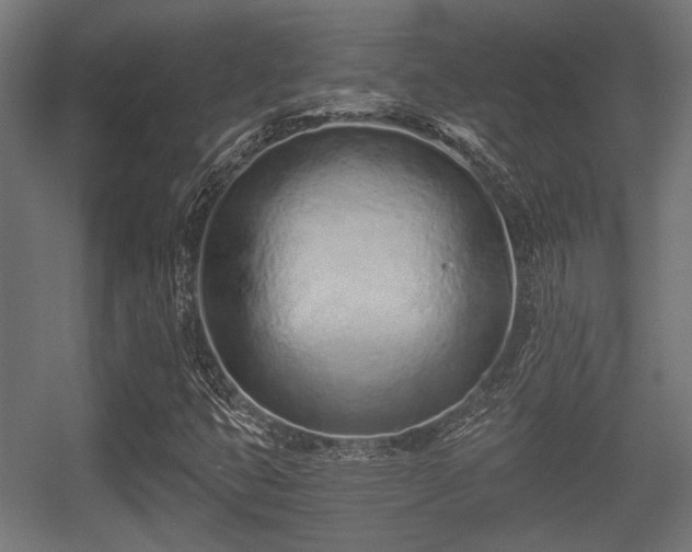X0000056361399200508291332