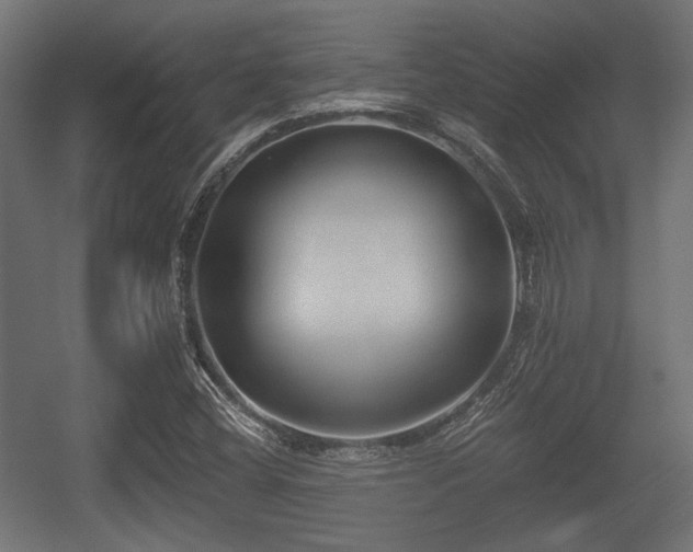 X0000056361404200508291332