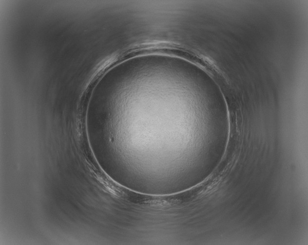 X0000056361405200508291332