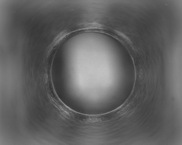 X0000056361407200508291332