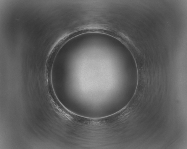 X0000056361408200508291332