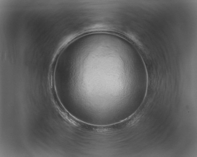 X0000056361413200508291332