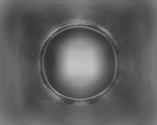 X0000056361415200508291332