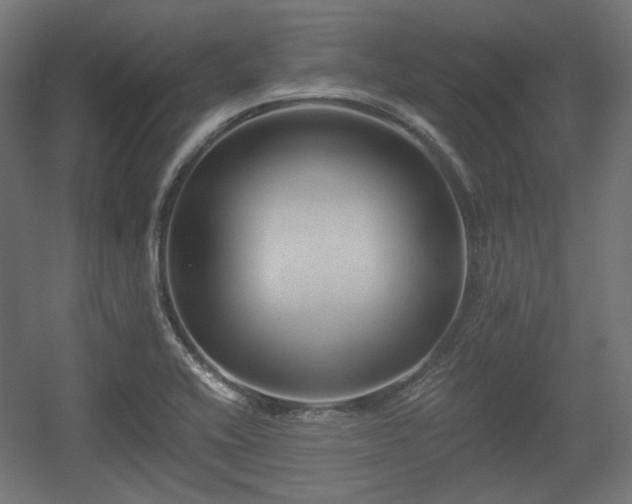 X0000056361416200508291332