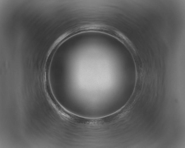 X0000056361418200508291332