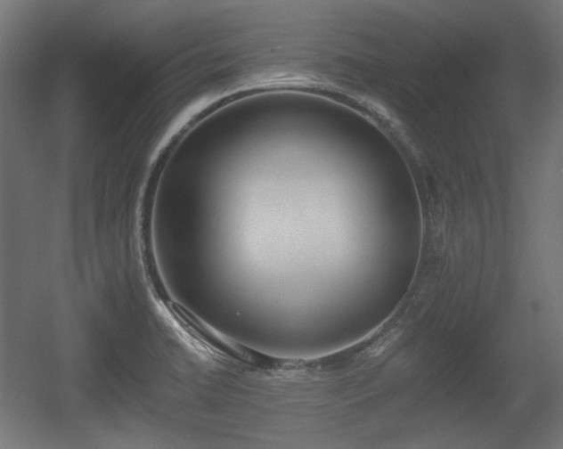X0000056361422200508291332