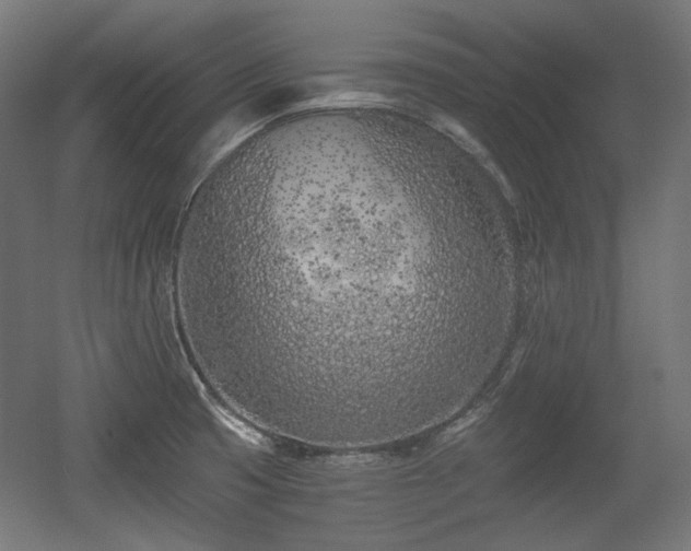 X0000056361425200508291333