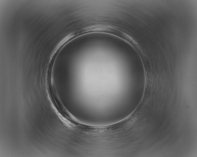 X0000056361426200508291333