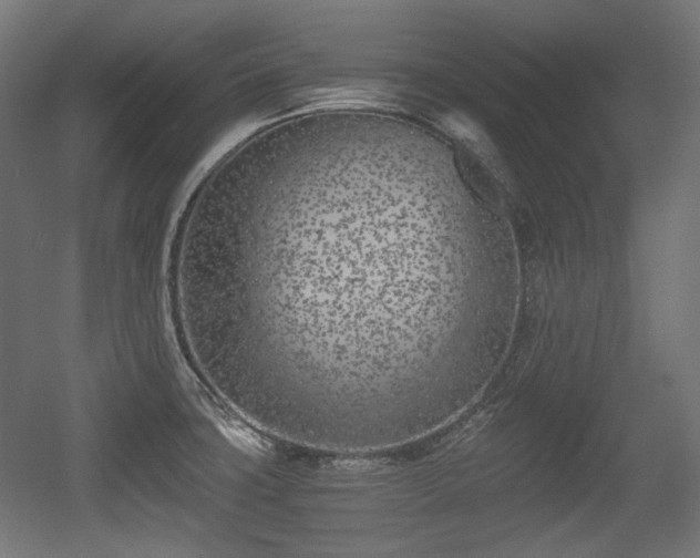 X0000056361427200508291333