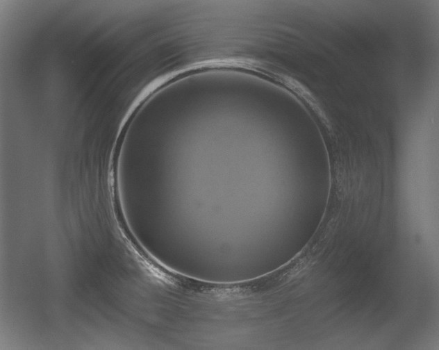 X0000056361428200508291333