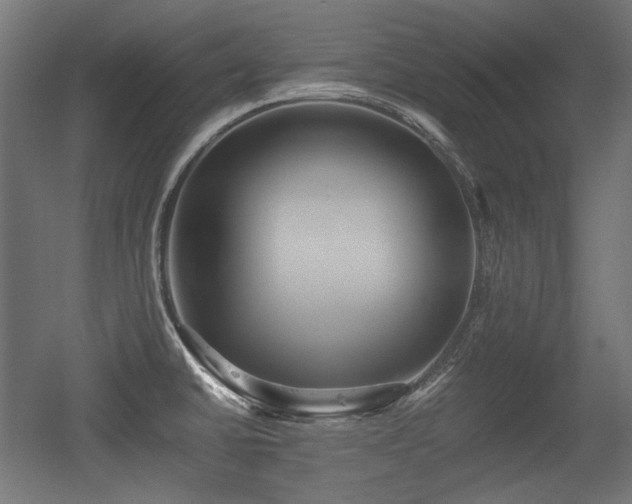 X0000056361430200508291333