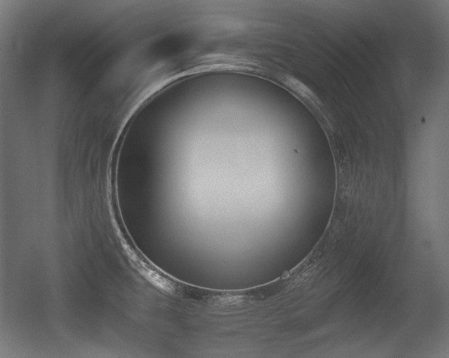 X0000056361431200508291333