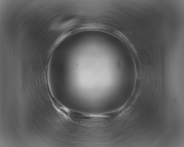 X0000056361433200508291333