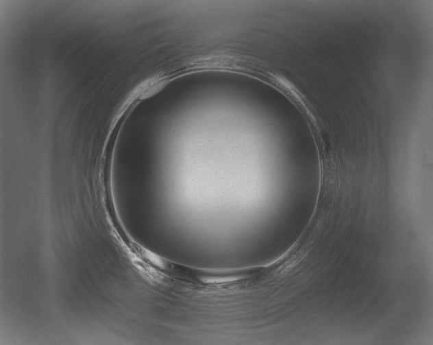 X0000056361434200508291333