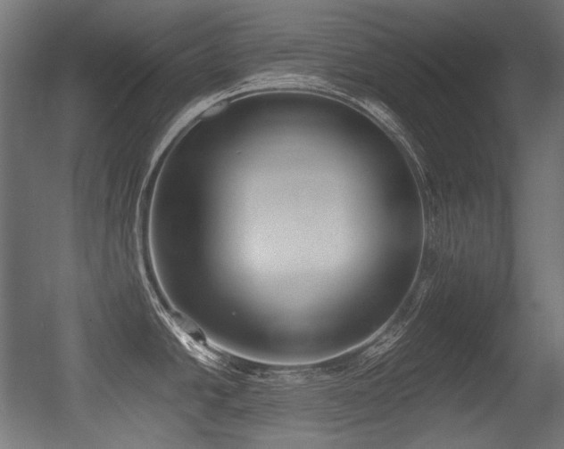 X0000056361438200508291333