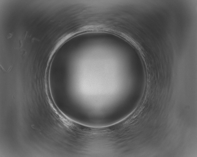 X0000056361440200508291333