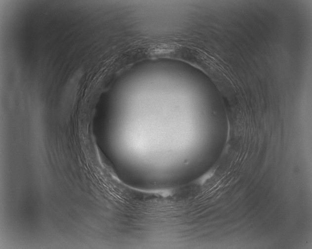X0000056361441200508291332