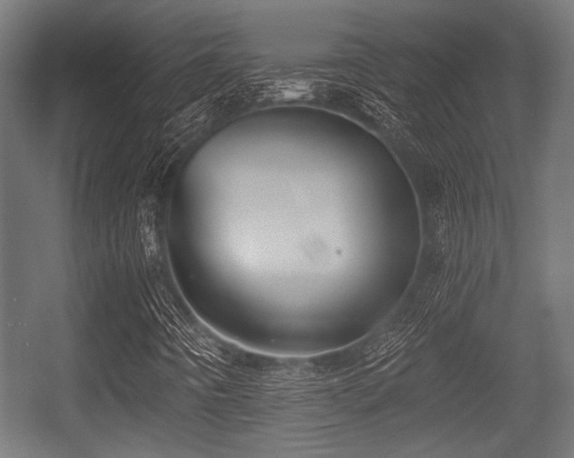 X0000056361442200508291332