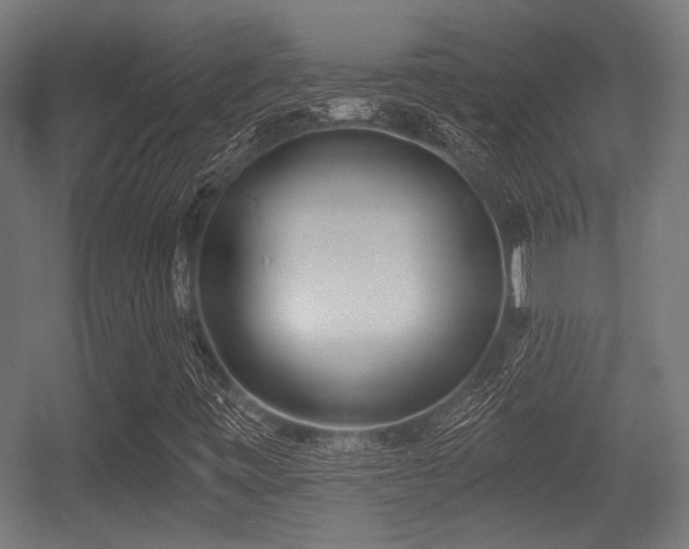 X0000056361443200508291332