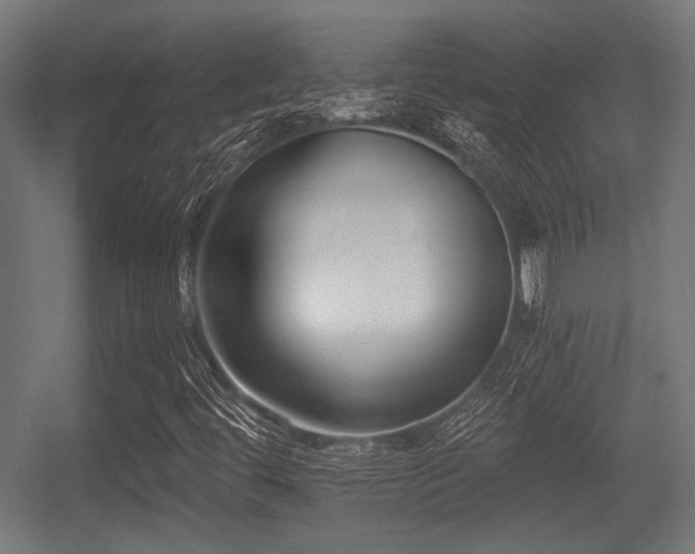 X0000056361444200508291332