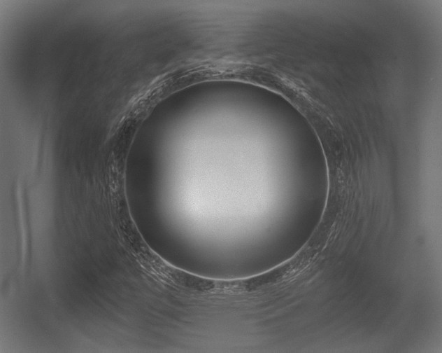 X0000056361447200508291332