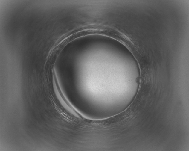 X0000056361448200508291332