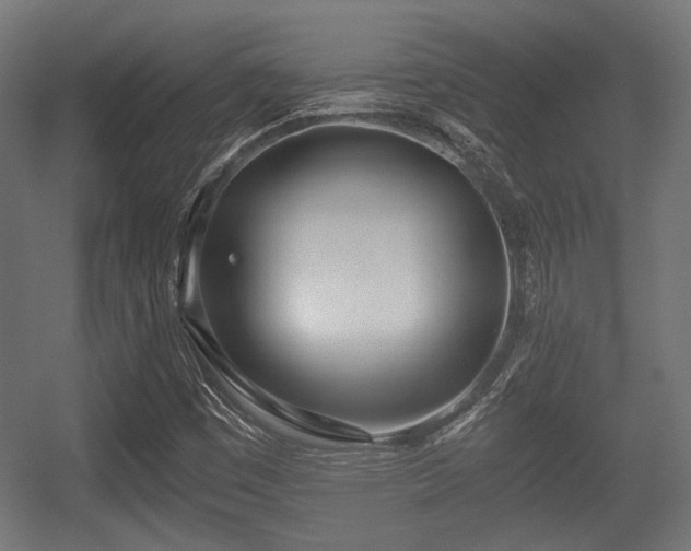 X0000056361449200508291332