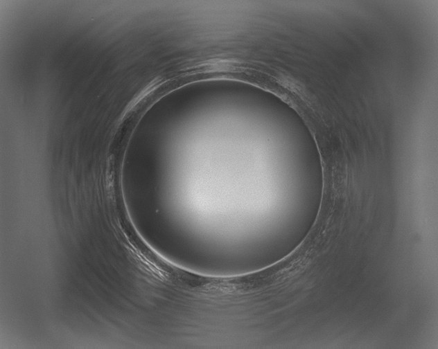 X0000056361450200508291332