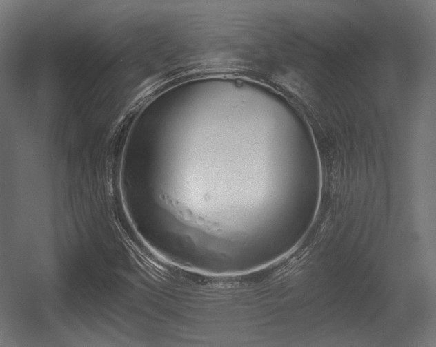 X0000056361451200508291332