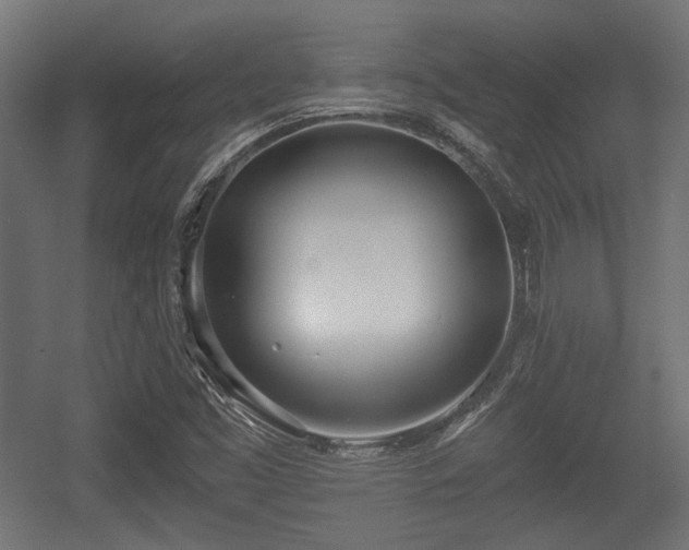 X0000056361453200508291332